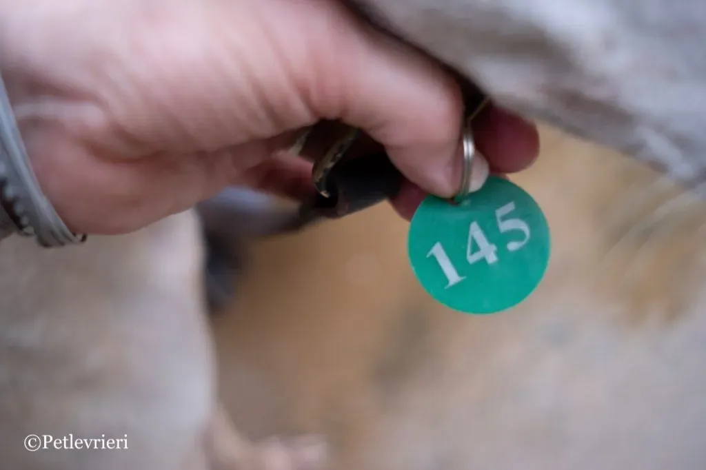 28 DSCF5570 1024x682