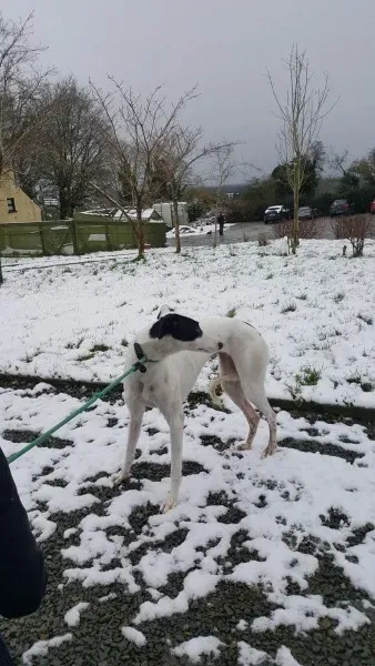 28000018 1562318777185378 1852429322 o