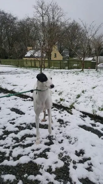 28033229 1562318583852064 1539388354 o