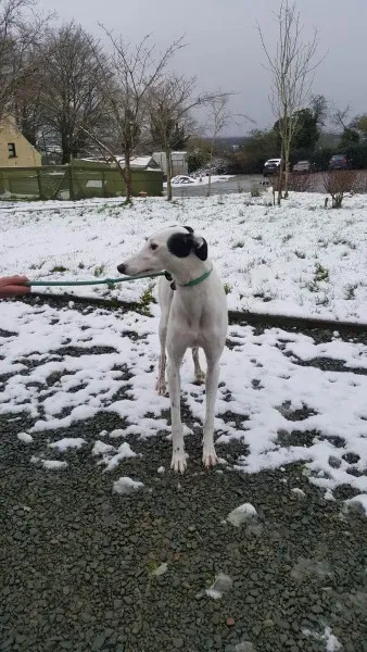 28033800 1562318713852051 1394170617 o