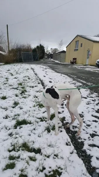 28034483 1562318813852041 1247801689 o