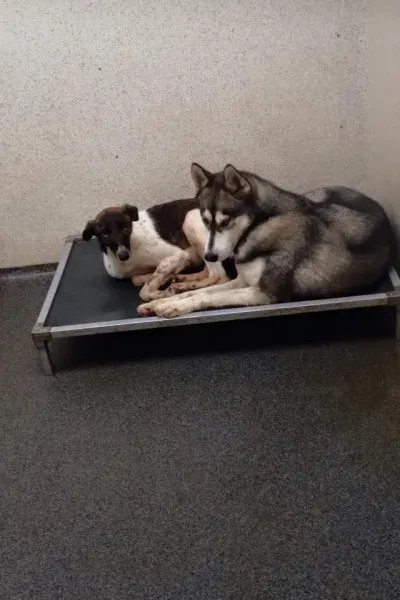 28056081 10210518701955971 3385421532949538660 n