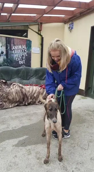 28056472 2055655841118771 6280618833113492316 n