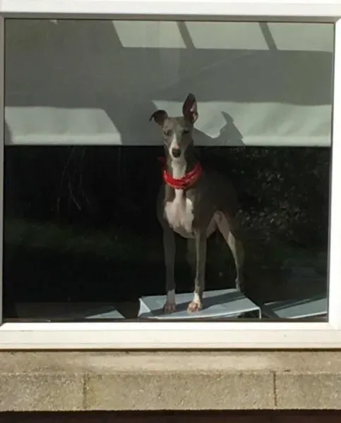 28058792 2060205953997093 2743871917379564943 n