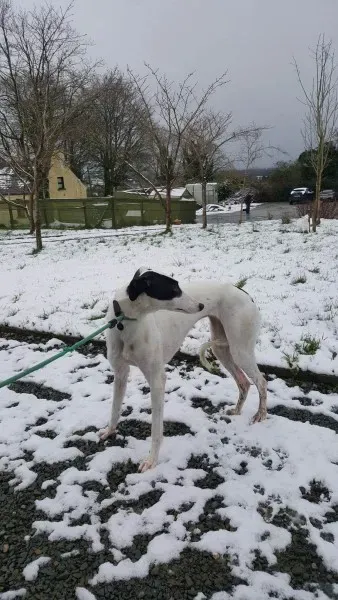 28081104 1562318793852043 300339851 o