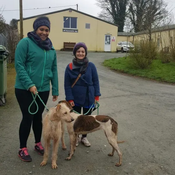 28164699 2053555224662166 4638665906351677517 o