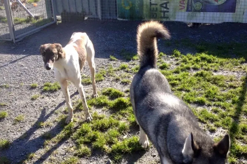 28166380 10210525665690060 960233923134605493 n