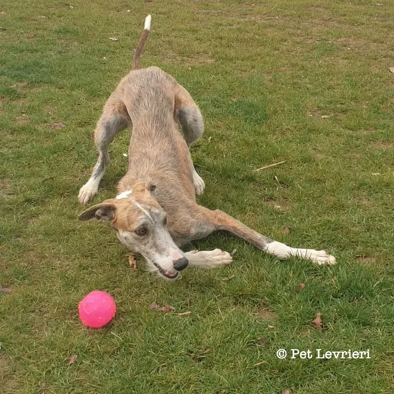 28260C86 C2A6 460C 92D6 3723B46029FD