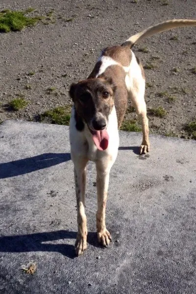 28277405 10210525666650084 4660427857870432000 n