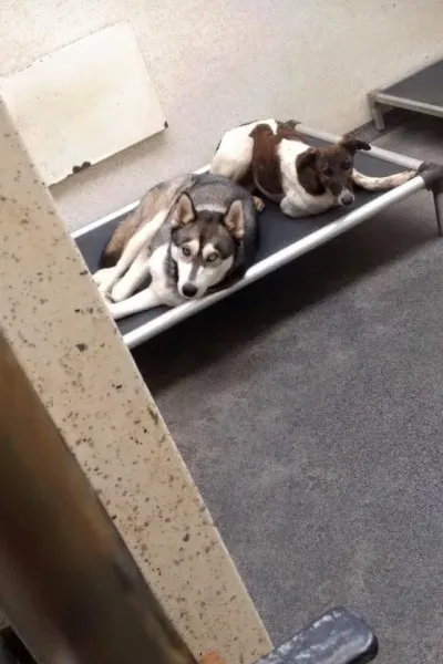 28378366 10210580462419944 5743794789316664009 n