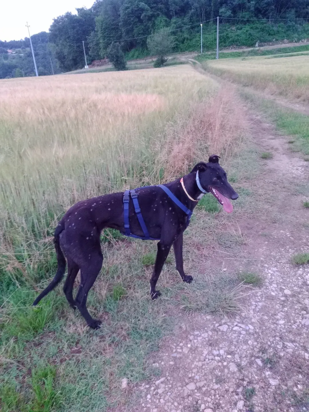 284514302 10228843702265144 68253559344934608 n