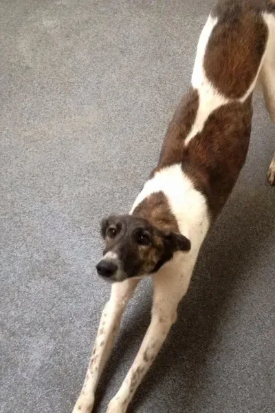 28660866 10210622074820228 2464340692216814455 n