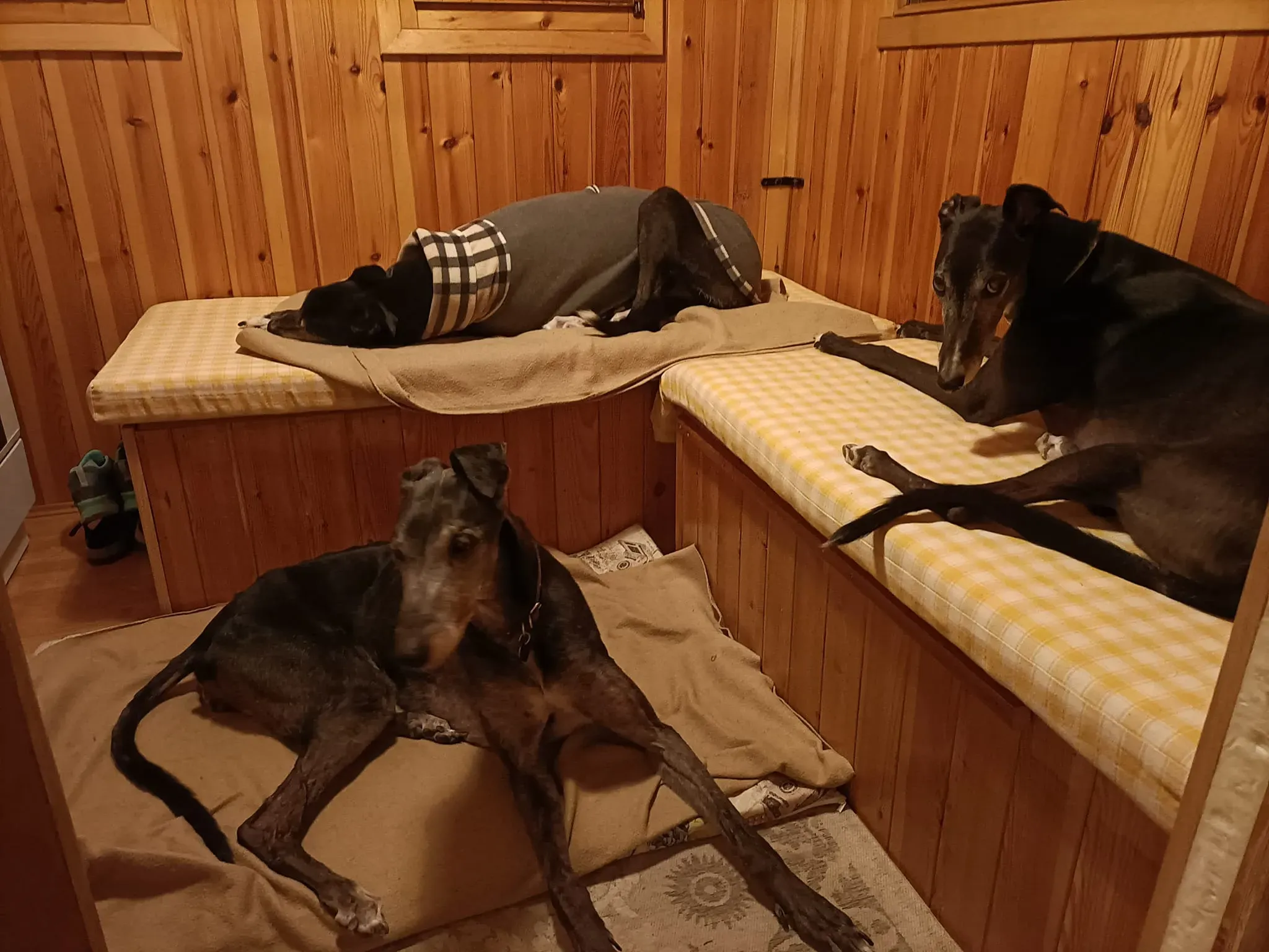 286787856 10224950954458922 4454629727725612322 n