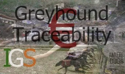 28783510 1790602251246765 5144298734187951632 n 1