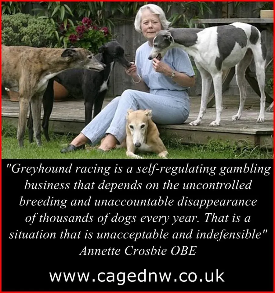 28783510 1790602251246765 5144298734187951632 n 2