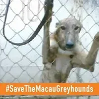 28783510 1790602251246765 5144298734187951632 n 3