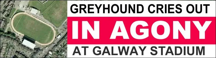 28783510 1790602251246765 5144298734187951632 n