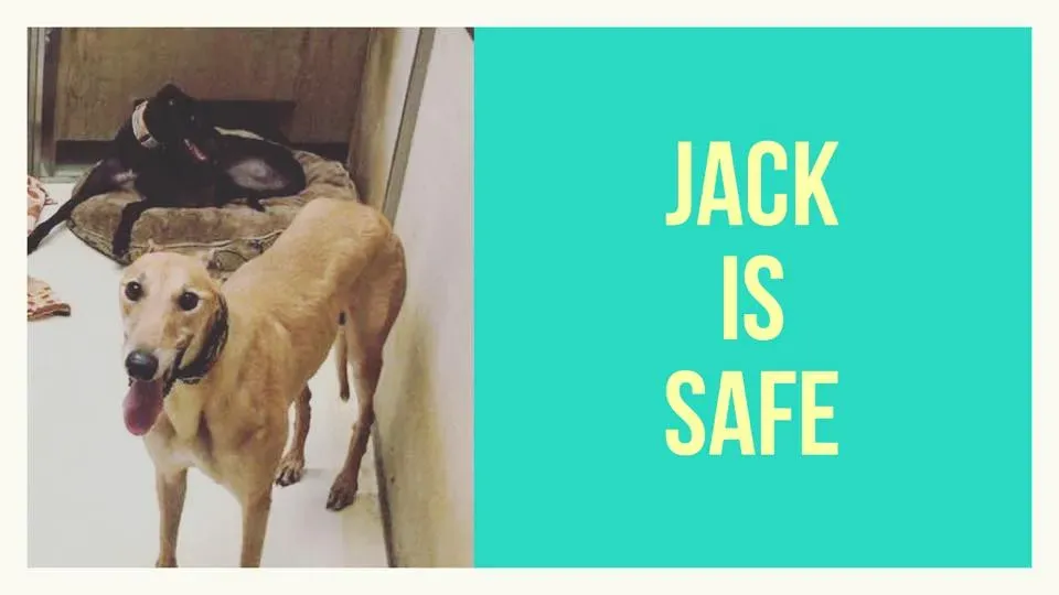 28783510 1790602251246765 5144298734187951633 n 1