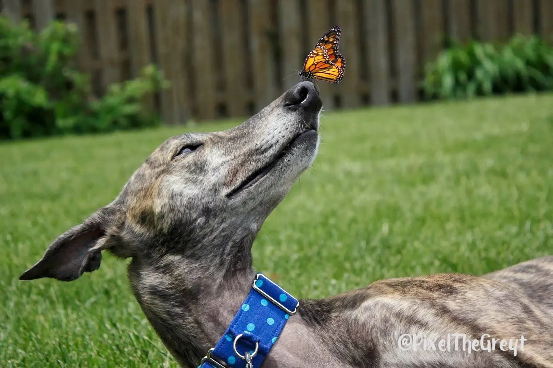 28783510 1790602251246765 5144298734187951633 n