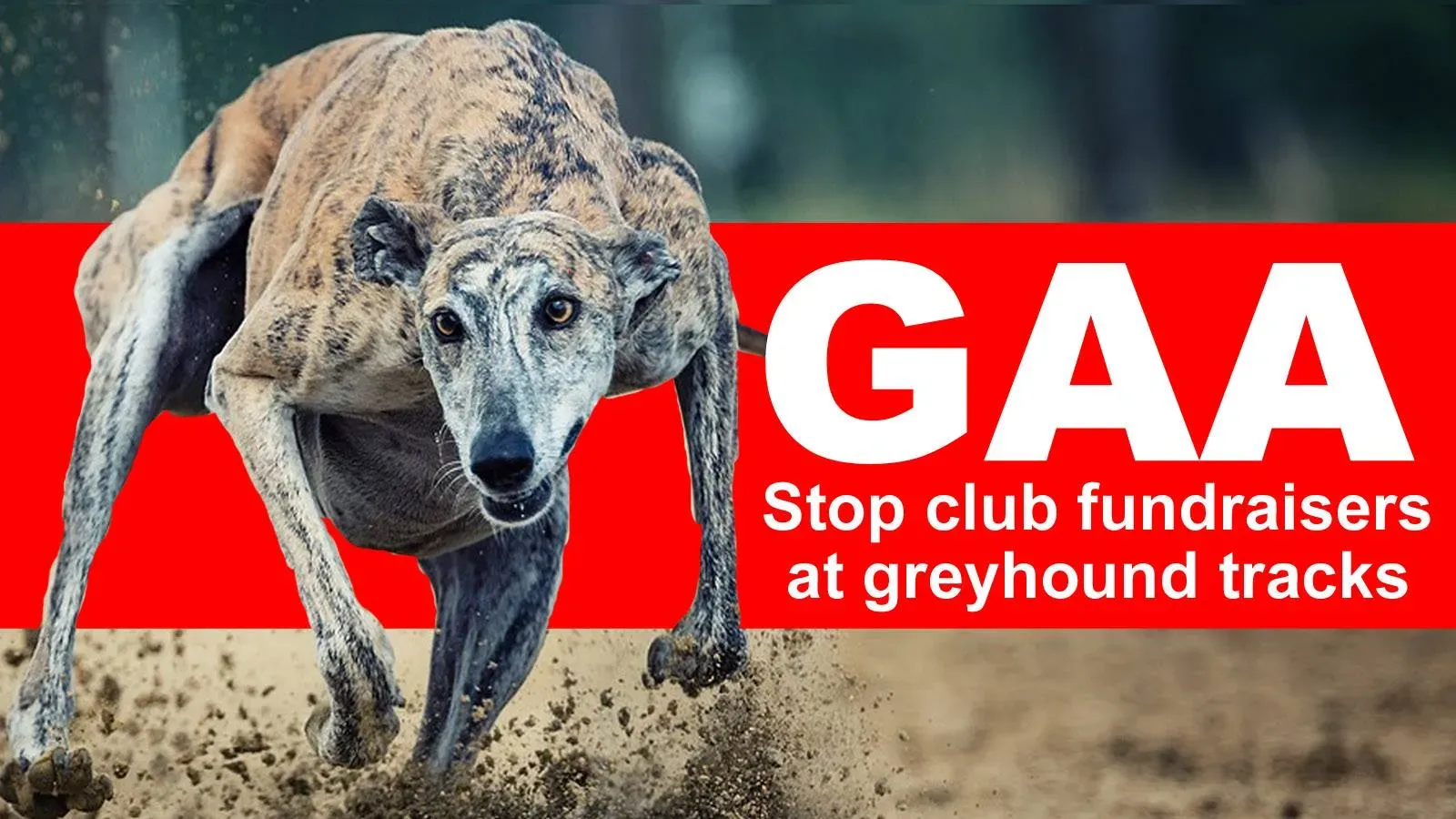 28783510 1790602251246765 5144298734187951634 n