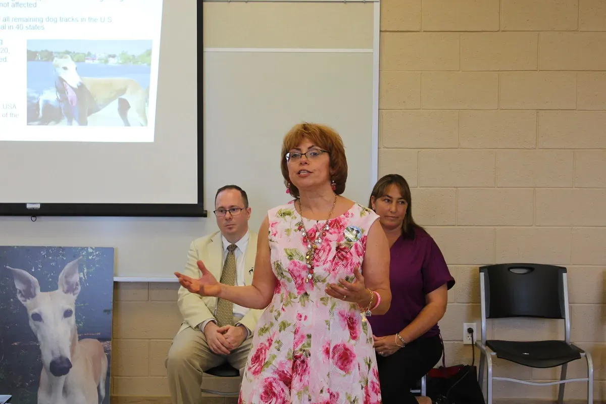 28783510 1790602251246765 5144298734187951635 n