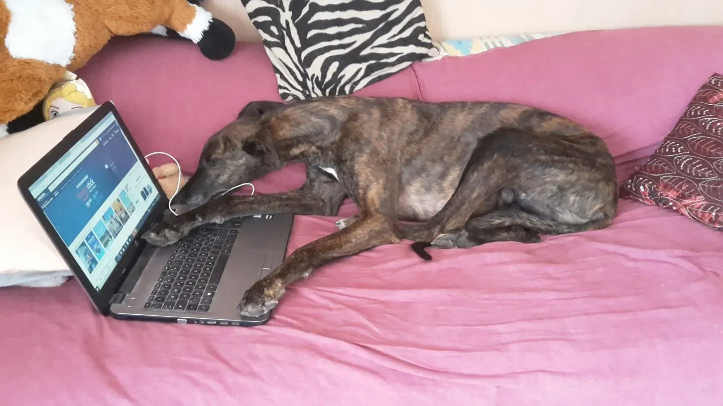 28828314 10214098063238752 1607808848638156794 o