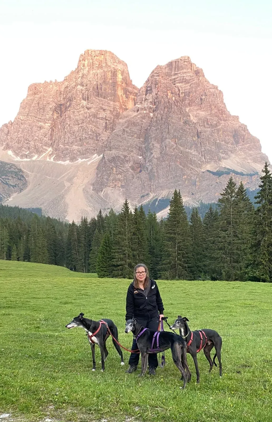 289034708 10224998562569095 6080525427986459295 n