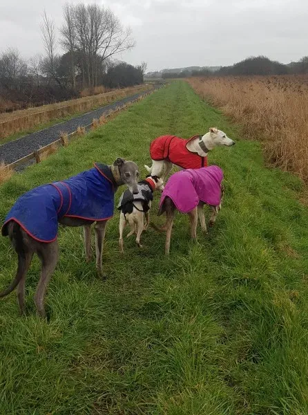 28946618 10214166502450100 403186336 o