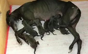 28954129 1626528780758357 5541523938704493390 o