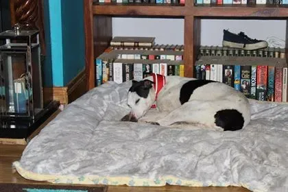 29004317 10214166377286971 1464032888 n