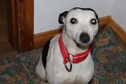 29004331 10214166380047040 412997344 n