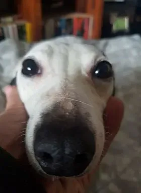 29019518 10214165225058166 57838000 n