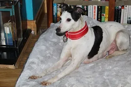 29020111 10214166379407024 1648031376 n