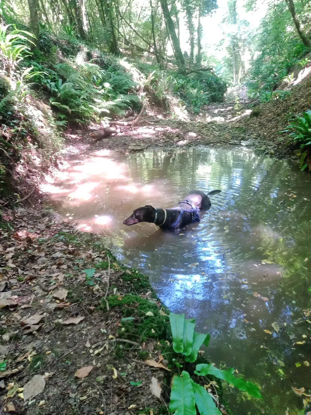 290452361 10229001006437650 378237226313479373 n