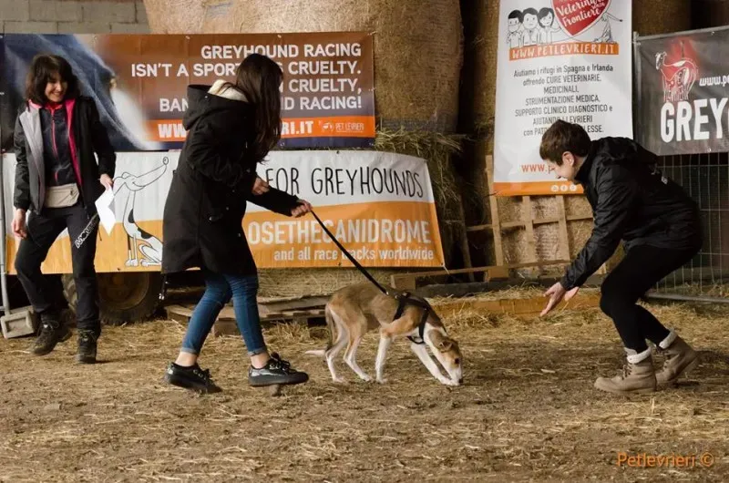 29063220 1658142014269647 1435326487765975040 n