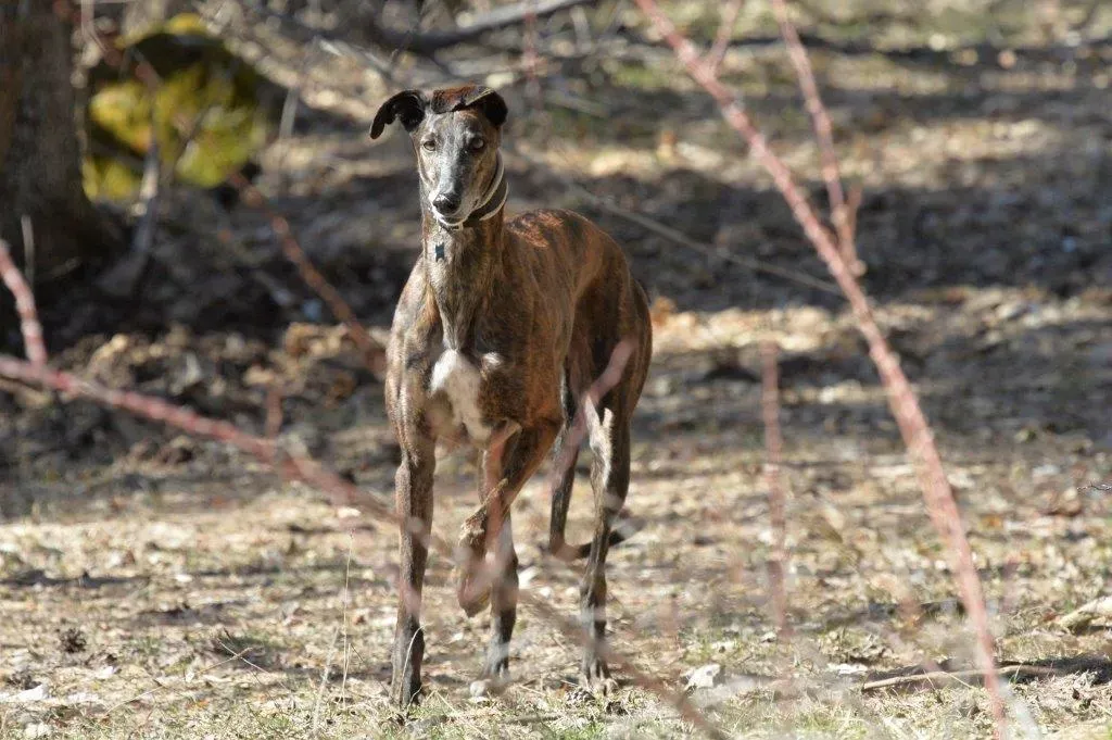 290990959 10217216010431997 6615351166701108884 n