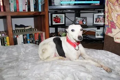 29134109 10214166379327022 230598759 n