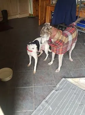 29134169 10214165199737533 750007548 n