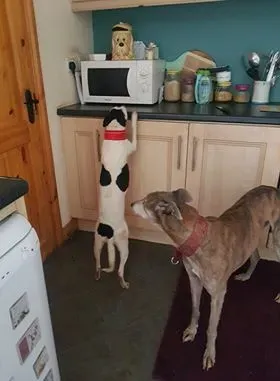 29134578 10214165197057466 1875773206 n