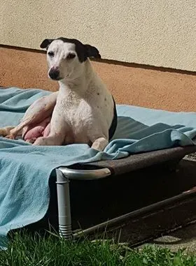 29134859 10214180468119233 485012247 n