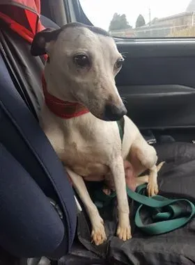 29134869 10214165144296147 2081642183 n