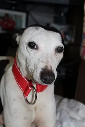 29134871 10214166381087066 1301102463 n