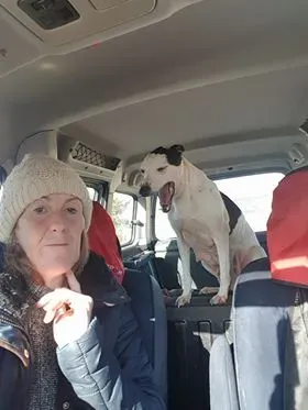 29138006 10214179364651647 1641717866 n