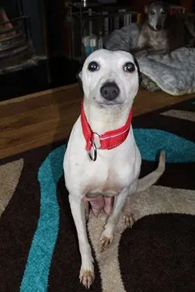 29138102 10214166380567053 637683925 n