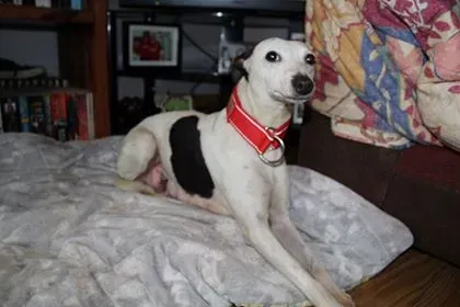 29138289 10214166380727057 863469430 n