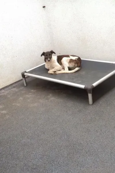 29177043 10210674285725468 1063087109420702077 n