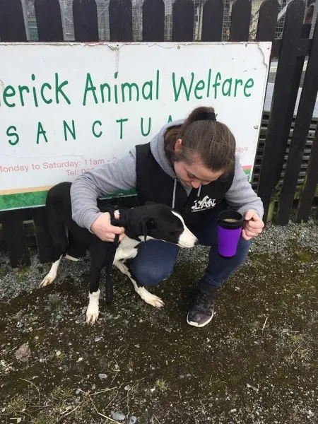 29177829 10155076734920194 1548451867598520320 n