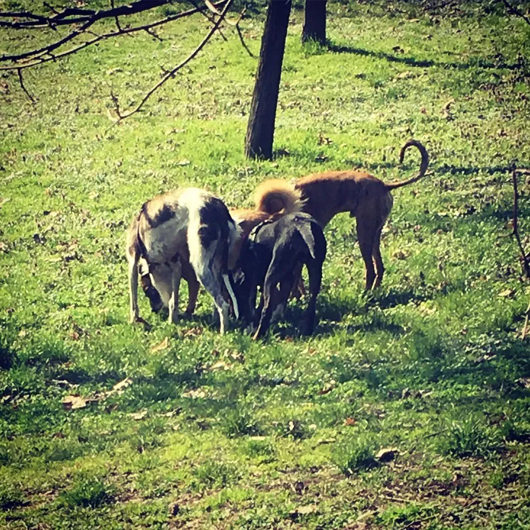 29187273 10155582463603246 2961275252174225408 o