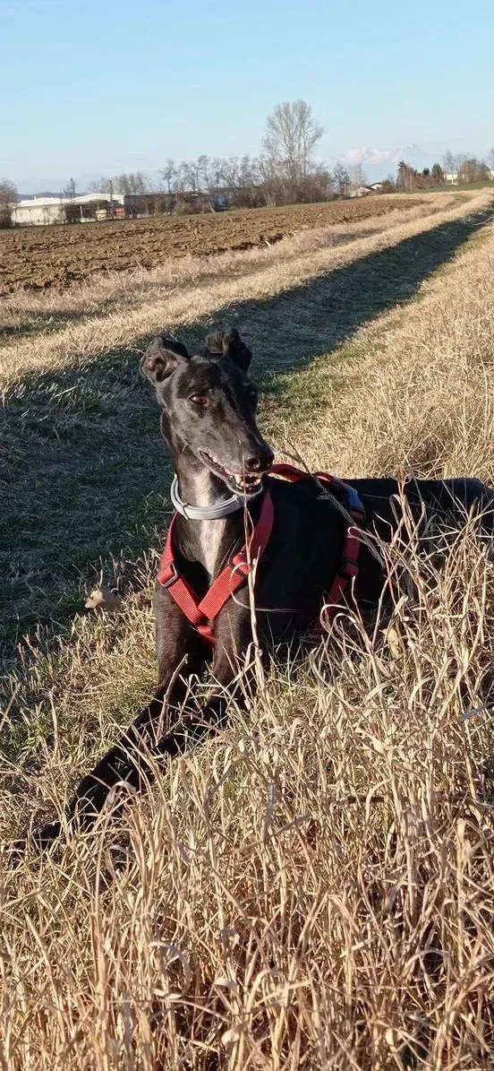 292219700 3128676044049271 7921329598426567790 n