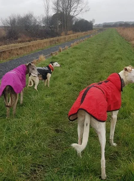 29242816 10214166502290096 730732436 o